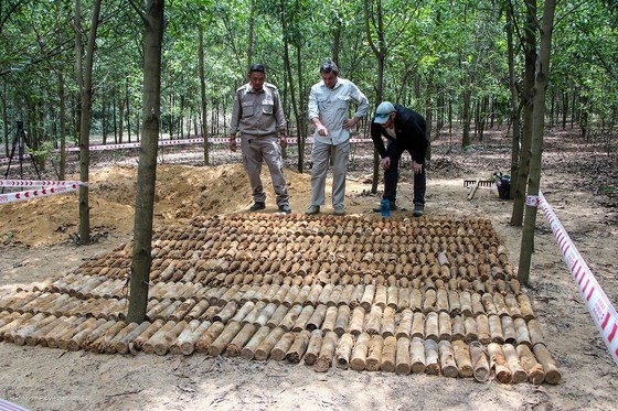  Phát hiện hầm chứa gần 500 quả đạn cối, lựu đạn trong rừng keo ảnh 1