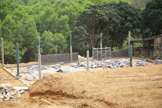 Ồ ạt xây dựng công trình, trồng cây 'đón' dự án cao tốc Bắc - Nam ảnh 3