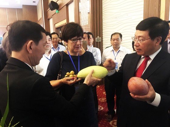 Phó Thủ tướng Phạm Bình Minh: ASEM cùng hành động mạnh mẽ ứng phó biến đổi khí hậu ảnh 4