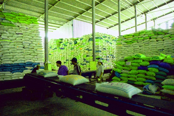 Việt Nam đang dẫn đầu giá xuất khẩu gạo 5% và 25% tấm  ảnh 2