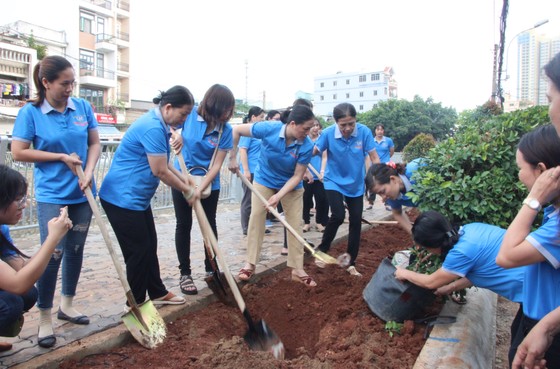 Quận 5 ra quân dọn vệ sinh, trồng cây, tặng cây cho người dân ảnh 5