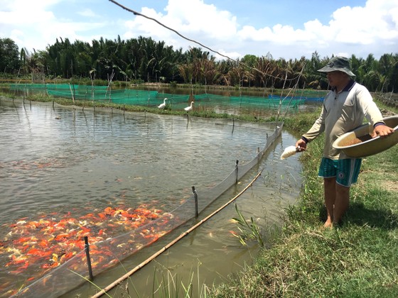 Sức sống mới ở xã vùng ven Bình Lợi ảnh 1