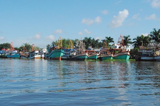 Hàng loạt tàu cá Kiên Giang nằm bờ  ảnh 1