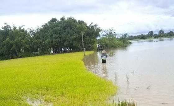 Mưa lớn, nhiều địa phương ở Đắk Lắk bị cô lập, phải di dời dân ảnh 5