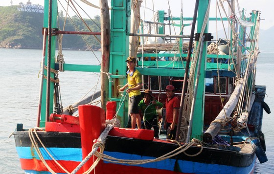 Cảnh sát biển cứu tàu bị nạn cùng 7 ngư dân Bình Định vào bờ an toàn ảnh 4