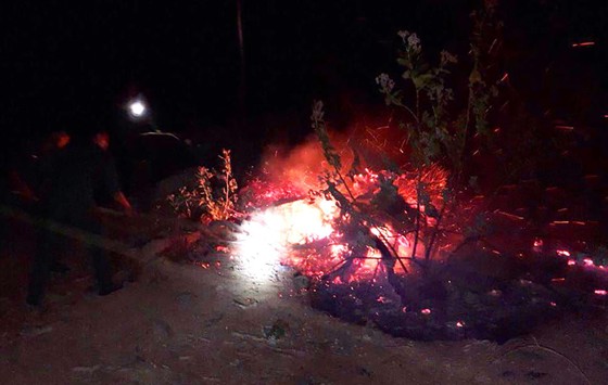 Cháy rừng bạch đàn tại Bình Định cũng do đốt rác ảnh 1