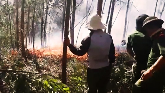 5 giờ đồng hồ, lửa lớn thiêu cháy gần 20ha rừng trồng ảnh 3