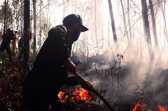 5 giờ đồng hồ, lửa lớn thiêu cháy gần 20ha rừng trồng ảnh 1