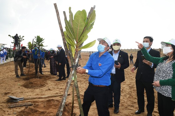 Thủ tướng muốn Phú Yên đi đầu đề án trồng mới 1 tỷ cây xanh ảnh 3