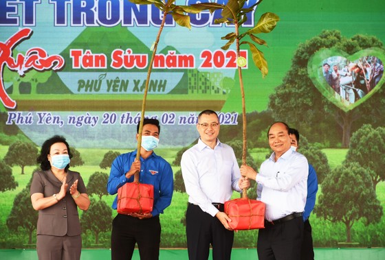 Thủ tướng muốn Phú Yên đi đầu đề án trồng mới 1 tỷ cây xanh ảnh 4
