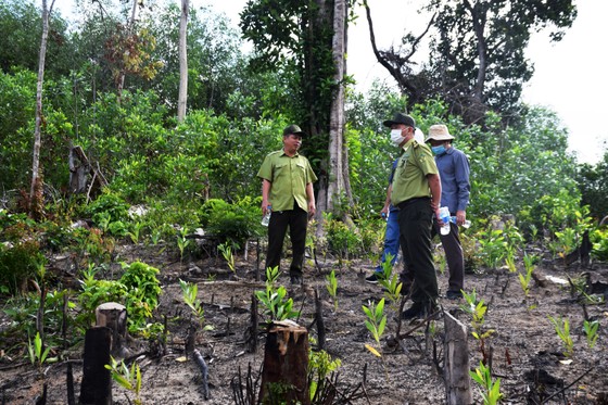 Chủ tịch UBND tỉnh Phú Yên chỉ đạo 'nóng' vụ phá rừng phòng hộ sông Trà Bương ảnh 4