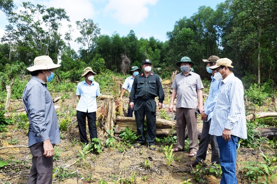 Chủ tịch UBND tỉnh Phú Yên chỉ đạo 'nóng' vụ phá rừng phòng hộ sông Trà Bương ảnh 3