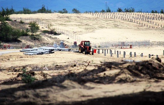 Bình Định chỉ đạo xử lý nghiêm vụ phá 5,26ha rừng phòng hộ ven biển ảnh 1