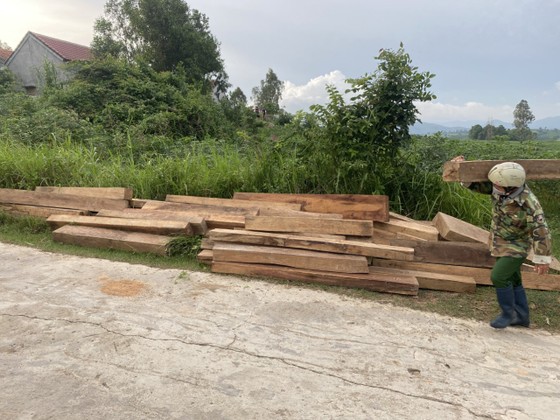 Nhà nhân viên bảo vệ rừng cất giấu 155 khúc gỗ rừng không phép ảnh 1