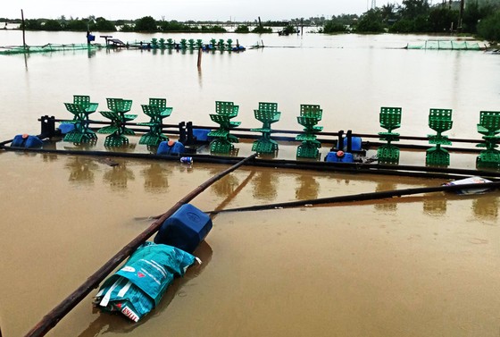 Mưa lũ tiếp tục gây sạt lở, ngập lụt hàng ngàn nhà dân ở Bình Định ảnh 9