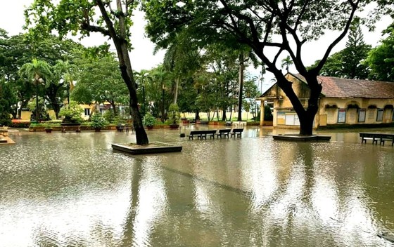 Mưa lũ tiếp tục gây sạt lở, ngập lụt hàng ngàn nhà dân ở Bình Định ảnh 8