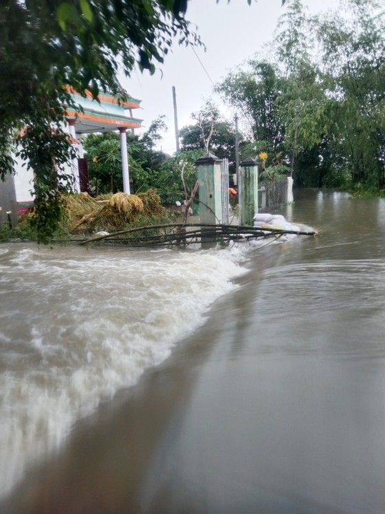 Cận cảnh ngập lụt cô lập hàng ngàn hộ dân ở Bình Định ảnh 2