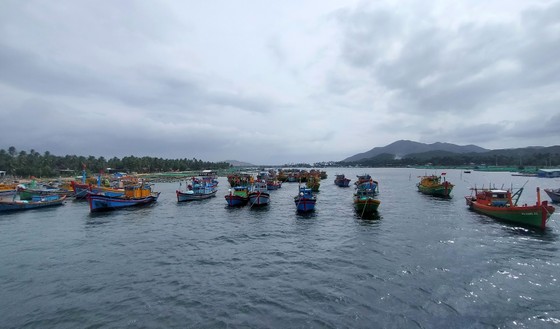 Làng chài gánh thuyền thúng 'chạy bão' ảnh 15