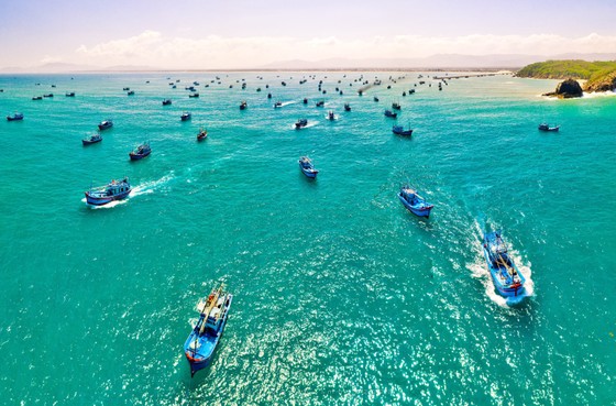 Ngư dân ra biển ăn tết ảnh 1