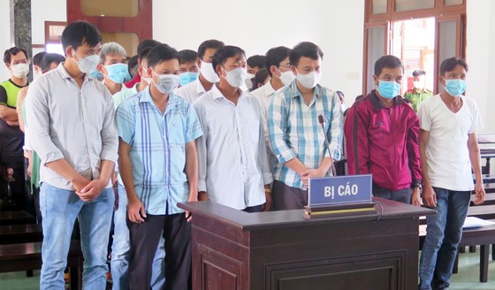 Phú rừng quy mô lớn Phú Yên: Tuyên án 24 lâm tặc và 10 cán bộ giữ rừng ảnh 1