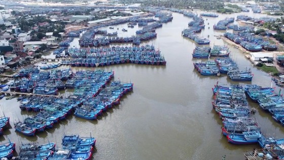 Bình Định đề nghị Bộ Công an điều tra đường dây 'cò' môi giới đánh cá trái phép ảnh 1