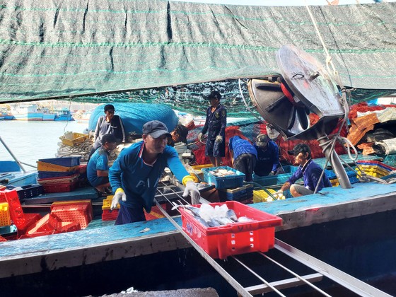 Ngư dân tố bị chèn ép, 'chặt chém' giá dầu ảnh 5