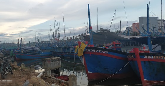 Gần 200 tàu cá hoạt động trong vùng nguy hiểm của bão Noru ảnh 1