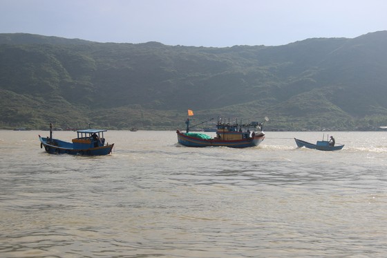 Ngư dân ùn ùn về cảng cá Quy Nhơn 'chạy bão' ảnh 1