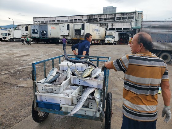 Ngư dân ùn ùn về cảng cá Quy Nhơn 'chạy bão' ảnh 5