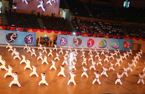 Đà Nẵng khai mạc Đại hội Thể dục Thể thao lần thứ VIII ảnh 2