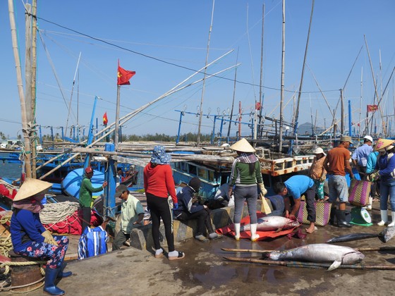 Hợp tác phát triển nghề cá khu vực ASEAN hiện đại, bền vững và có trách nhiệm ảnh 1