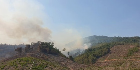Đốt thực bì, cháy hơn 32 ha rừng phòng hộ tại Quảng Nam ảnh 2