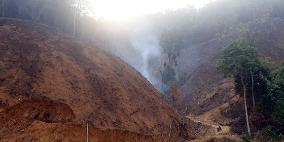 Đốt thực bì, cháy hơn 32 ha rừng phòng hộ tại Quảng Nam ảnh 1
