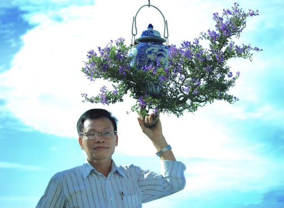 Khám phá vườn bonsai mọc ngược giữa phố ảnh 1