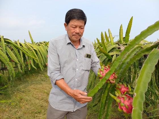 Cơ giới hóa sản xuất cây ăn trái ĐBSCL: cần cho nông dân tiếp cận với máy móc ảnh 1