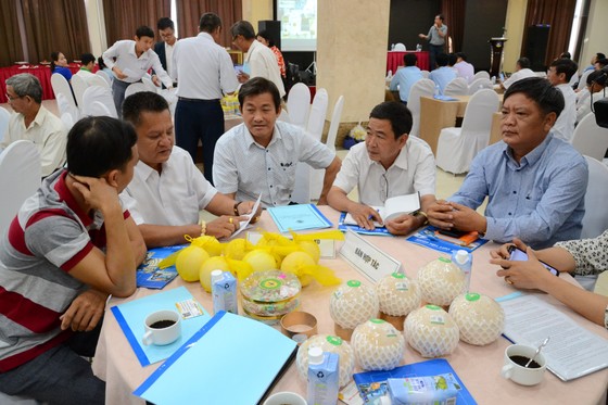 Kết nối cung cầu cho các HTX trên địa bàn tỉnh Tiền Giang ảnh 2