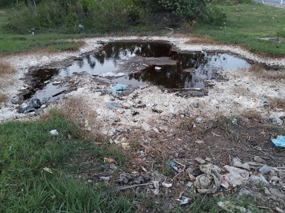 Bão số 10 quật lộ kho hóa chất độc hại gần khu dân cư ở Quảng Bình? ảnh 4