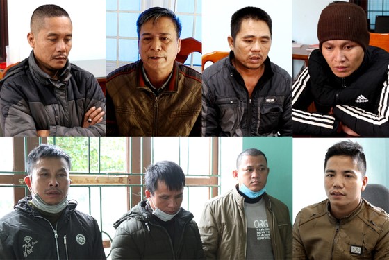 Quảng Bình: Khởi tố vụ án, tạm giam 8 đối tượng phá rừng  ảnh 1