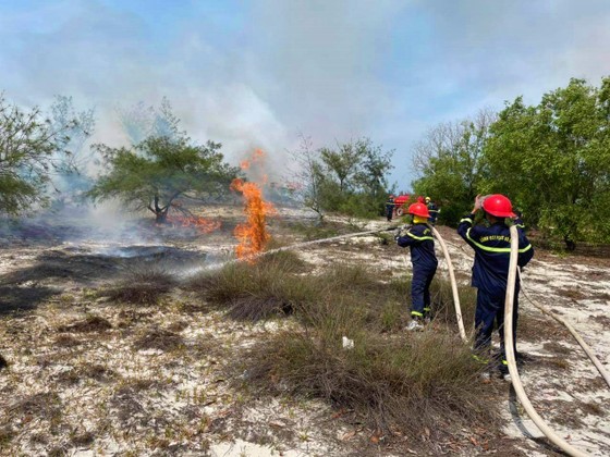 Quảng Bình: Cháy rừng phòng hộ ven biển trong nhiều giờ ảnh 1
