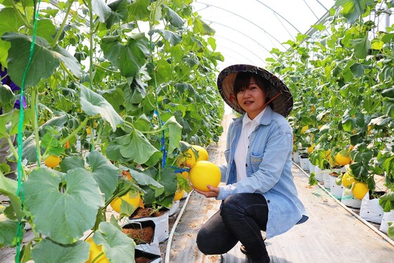 Đồng Tháp: Đào tạo nghề nông nghiệp cho 1.800 lao động nông thôn ảnh 1