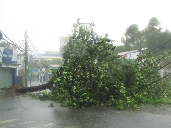 Vũng Tàu - Bến Tre mưa lớn, gió giật mạnh, Khánh Hòa - Ninh Thuận ngập lụt, đường sắt tê liệt  ảnh 2