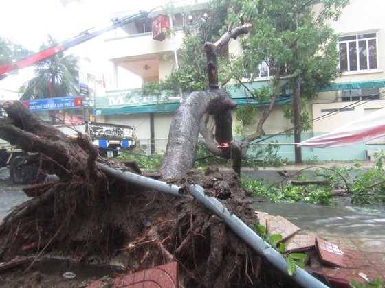 Vũng Tàu - Bến Tre mưa lớn, gió giật mạnh, Khánh Hòa - Ninh Thuận ngập lụt, đường sắt tê liệt  ảnh 1