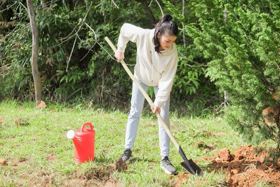 Hoa hậu Phương Khánh, Trúc Diễm, Hoàng Hạnh đồng hành cùng dự án trồng 50 triệu cây xanh ảnh 4