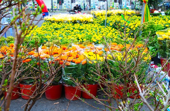 Chợ hoa tết đầu tiên được khai mạc sớm tại TPHCM ảnh 1