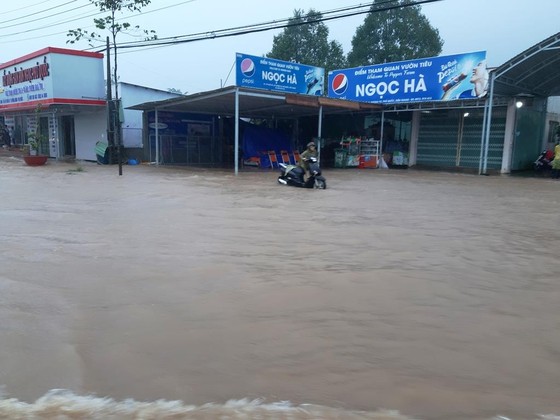 Đảo ngọc Phú Quốc "chìm" trong… biển nước ảnh 6