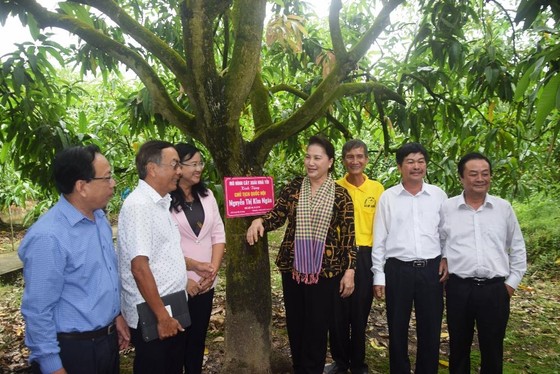 Chủ tịch Quốc hội Nguyễn Thị Kim Ngân: Đồng Tháp là điểm sáng trong mô hình liên kết nông dân ảnh 2