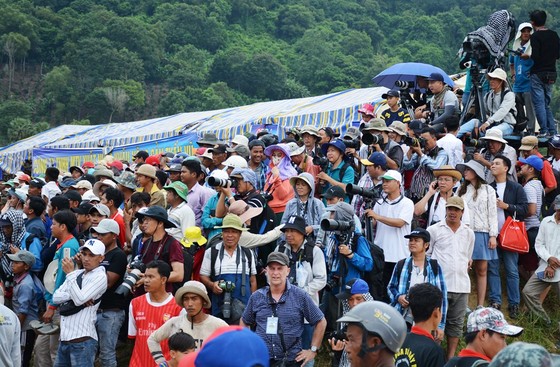 Hàng chục ngàn người xem đua bò Bảy Núi An Giang 2019 ảnh 5