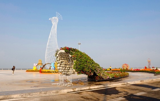 Rực rỡ những đường hoa xuân phục vụ Tết Canh Tý ở ĐBSCL ảnh 14