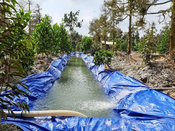 Xâm nhập mặn ở ĐBSCL có xu thế giảm dần từ tháng 5 ảnh 1