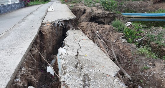 Hơn 58.000ha lúa ở ĐBSCL bị thiệt hại do hạn mặn ảnh 5